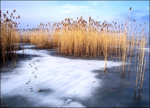 следы на воде