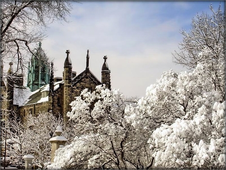 in winter