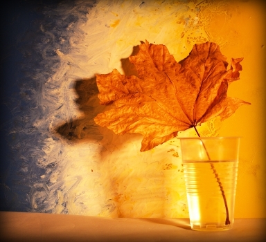 Autumn Idyll