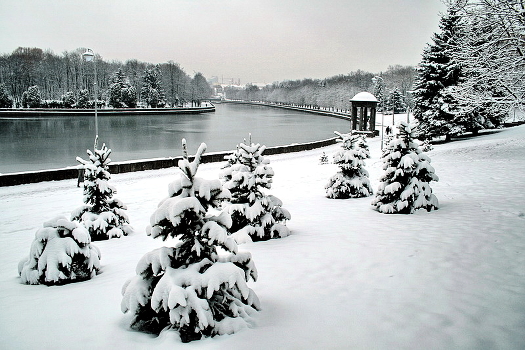 Winter Harmony