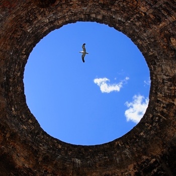 Eye of the sky or the Philosophy of Tolstoy:) "