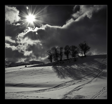 Monochrome landscape