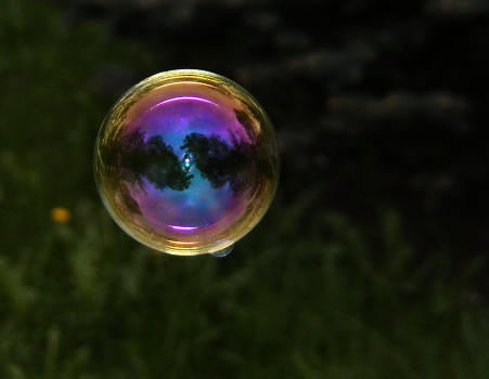 Soap Welt