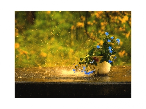 And just today there was rain ....