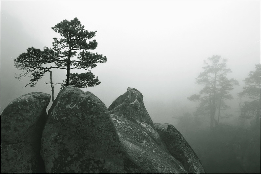 Carpathians