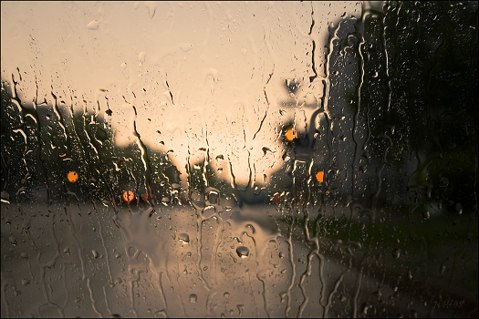 Rain again