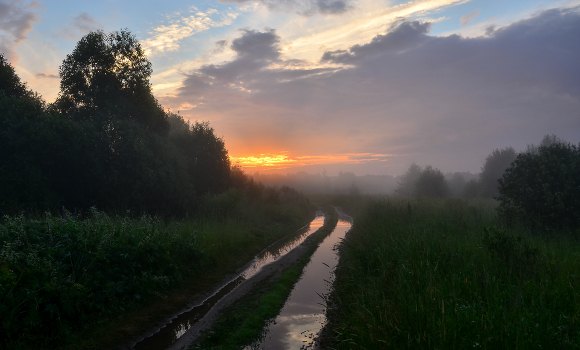 ***