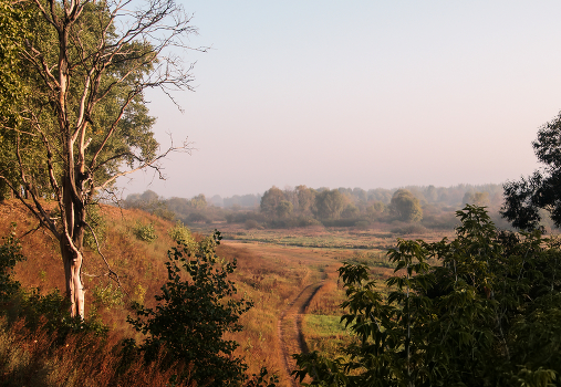 autumn morning
