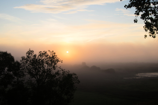 Dawn