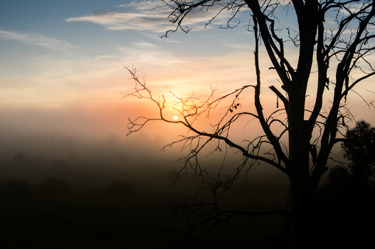 Dawn