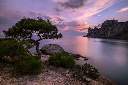 ***
