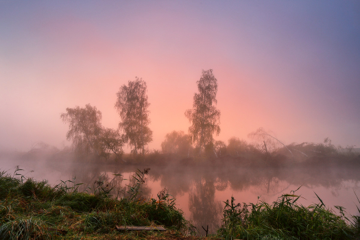 Morning on Svislochi