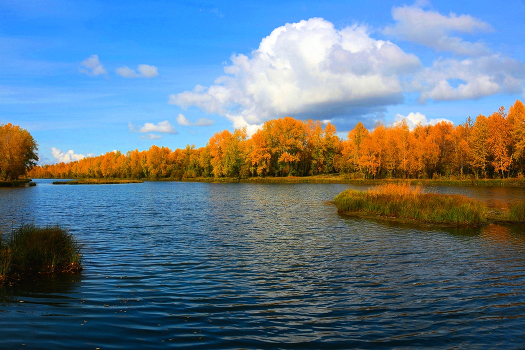 Панорама у воды