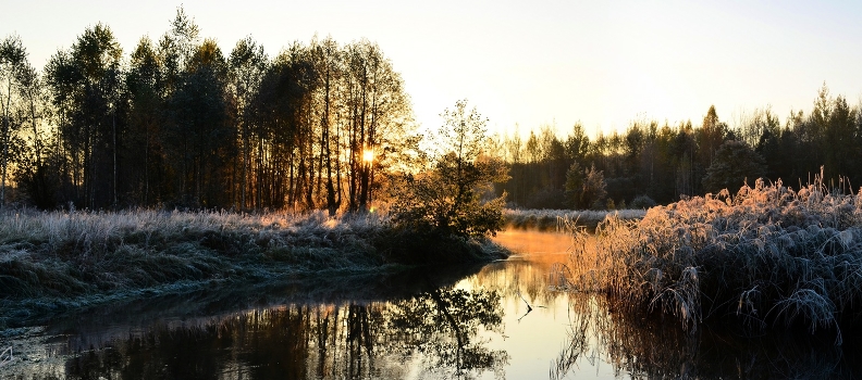 The first frosts