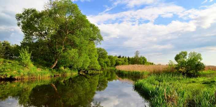 Spring Evening