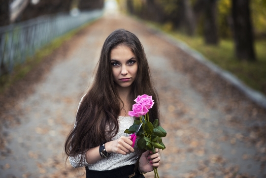 Pink roses