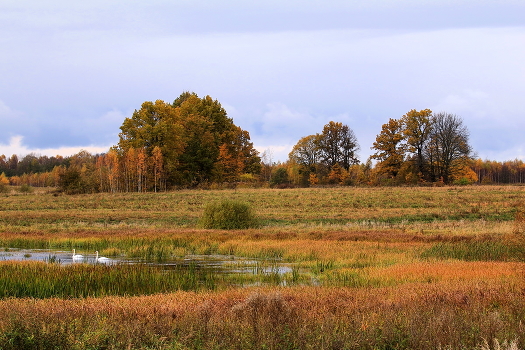 Autumn pastoral