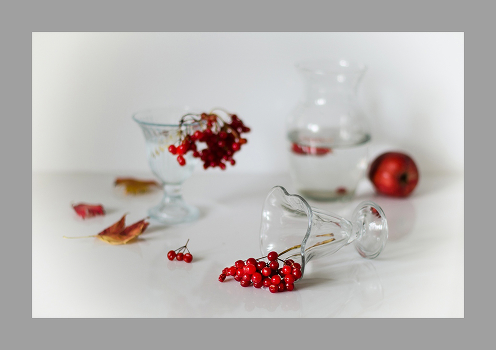 Kalina red ...