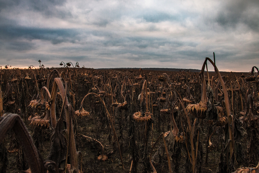 Forgotten