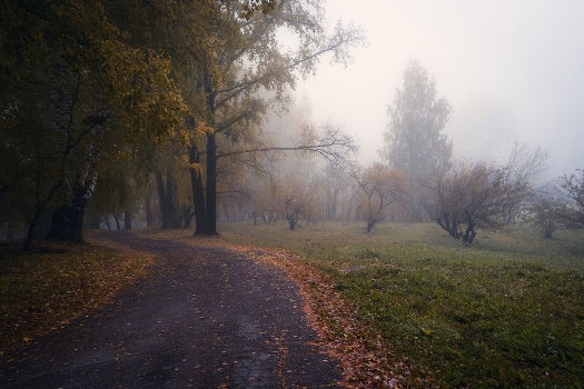 Autumn sketches