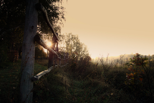 Dawn on the outskirts