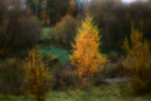 Autumn melonholiya