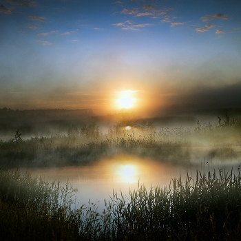 At dawn