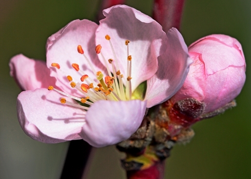 By the spring