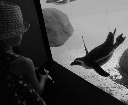 Through the glass