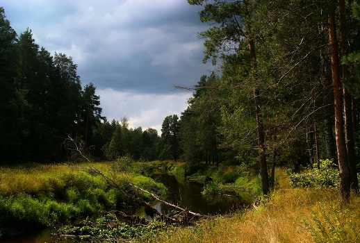 Before the Rain