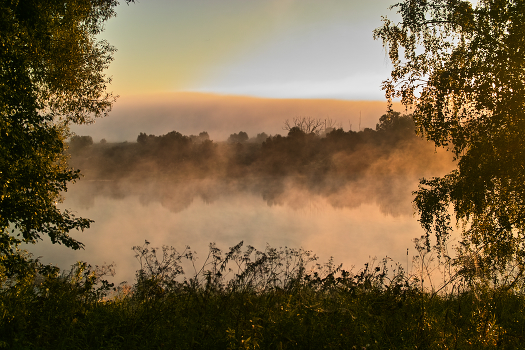 Foggy morning