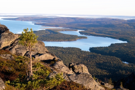 Karelia