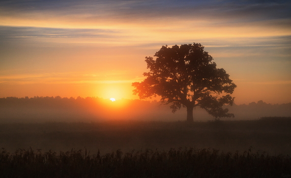 Cold morning