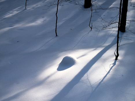 Light and shadow.