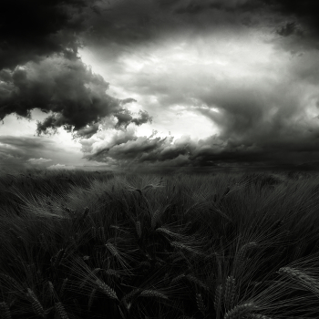 | BEFOR THE STORM |
