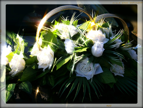 Till death do us part