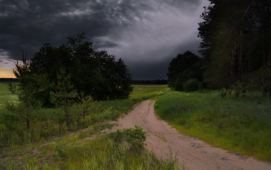 Before the storm