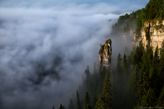 Fog