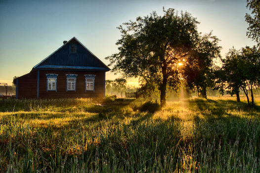 Sunny morning