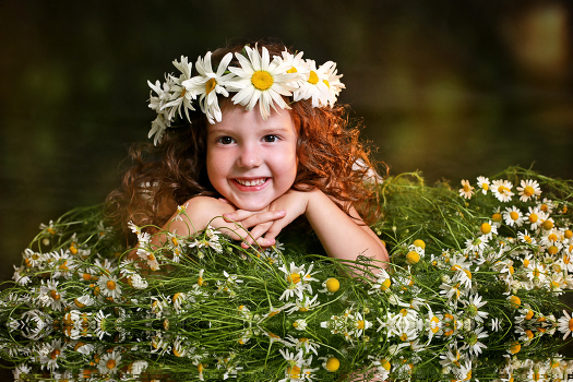 Chamomile summer