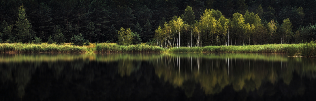 reflections