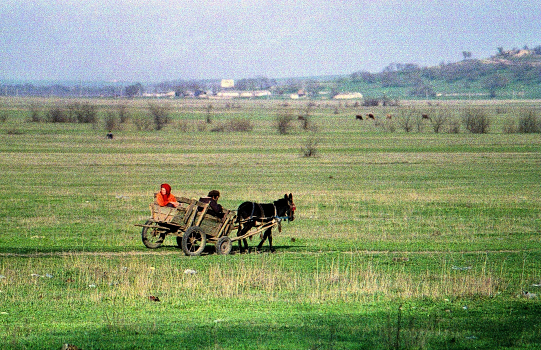 In the steppe