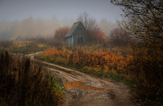 Autumn