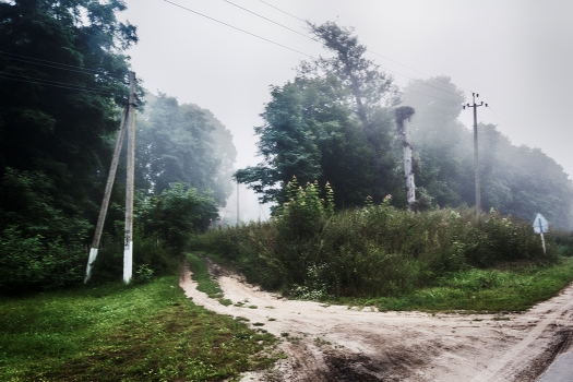 Foggy morning.