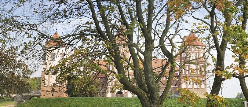 Mir Castle