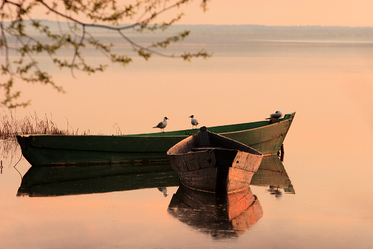 Honey Lake