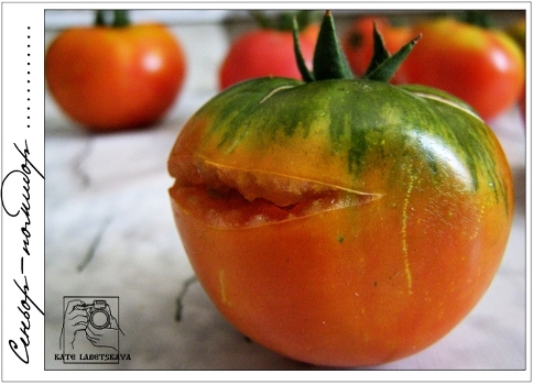 Senor-tomato