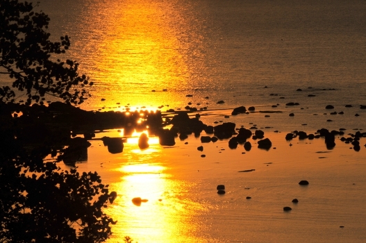 Golden Stream