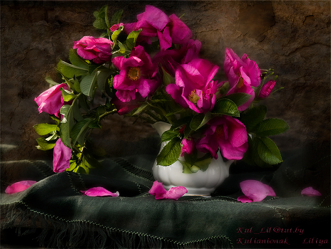 Pink rose