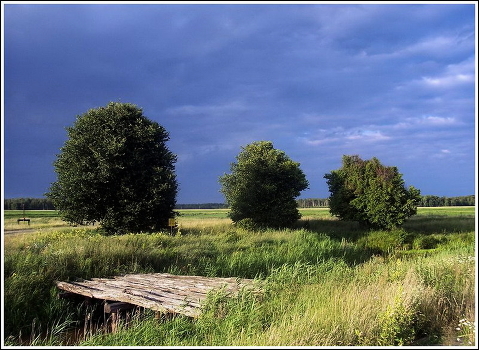 Waiting for the storm